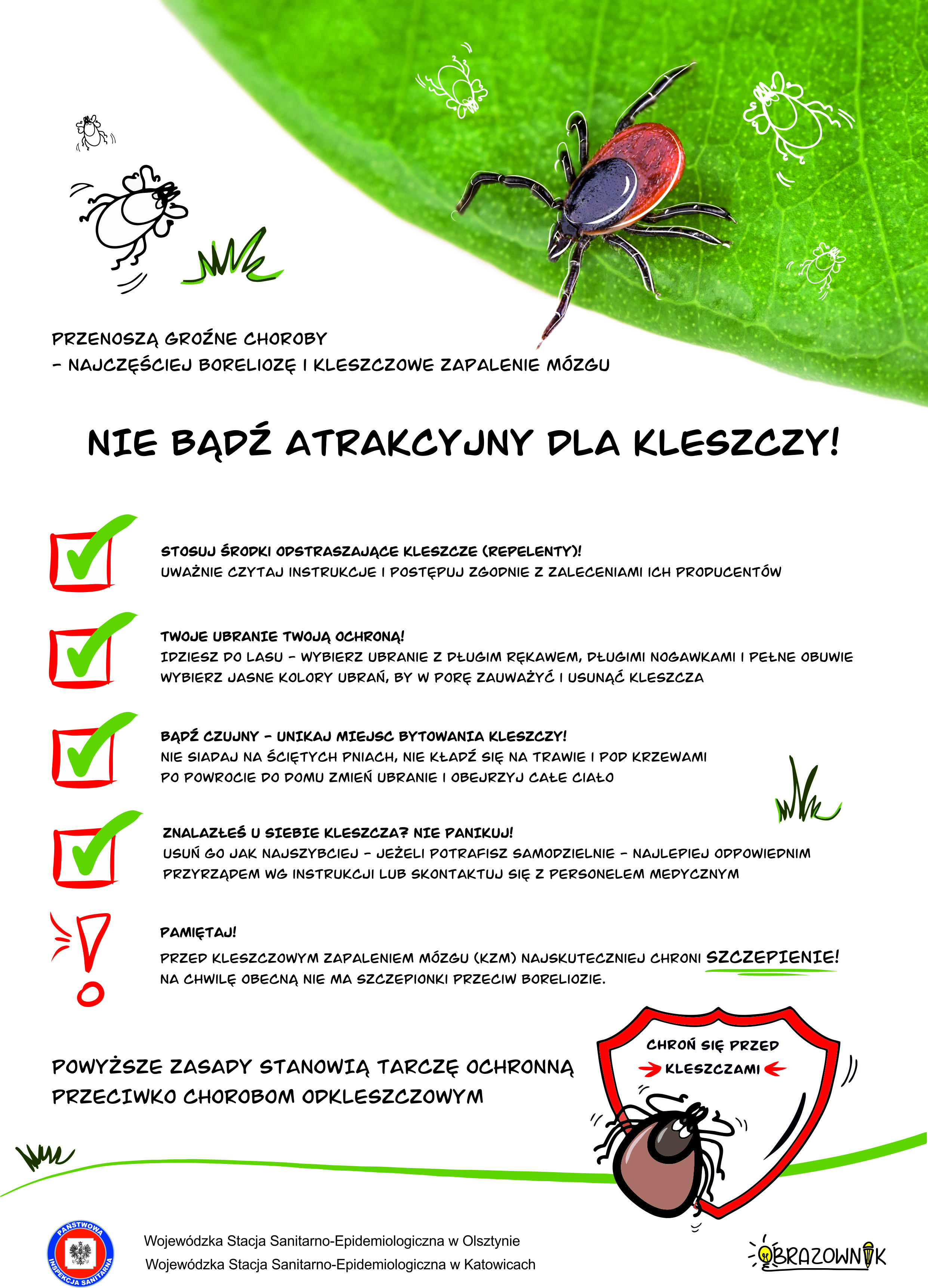 plakat kleszcze.jpg
