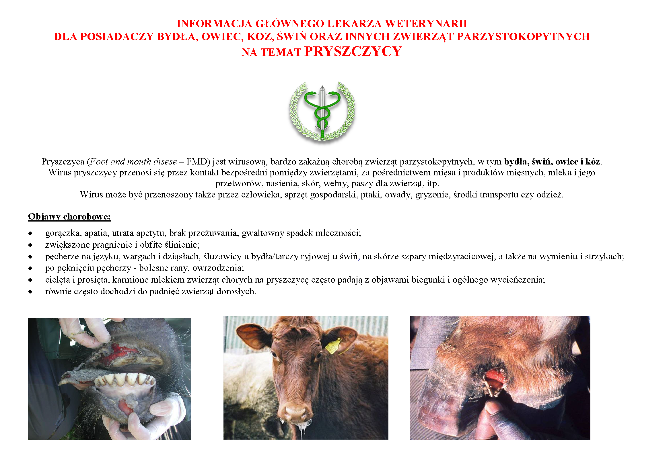 Załącznik 2 - ulotka pryszczyca (FMD)-2_Strona_1.png
