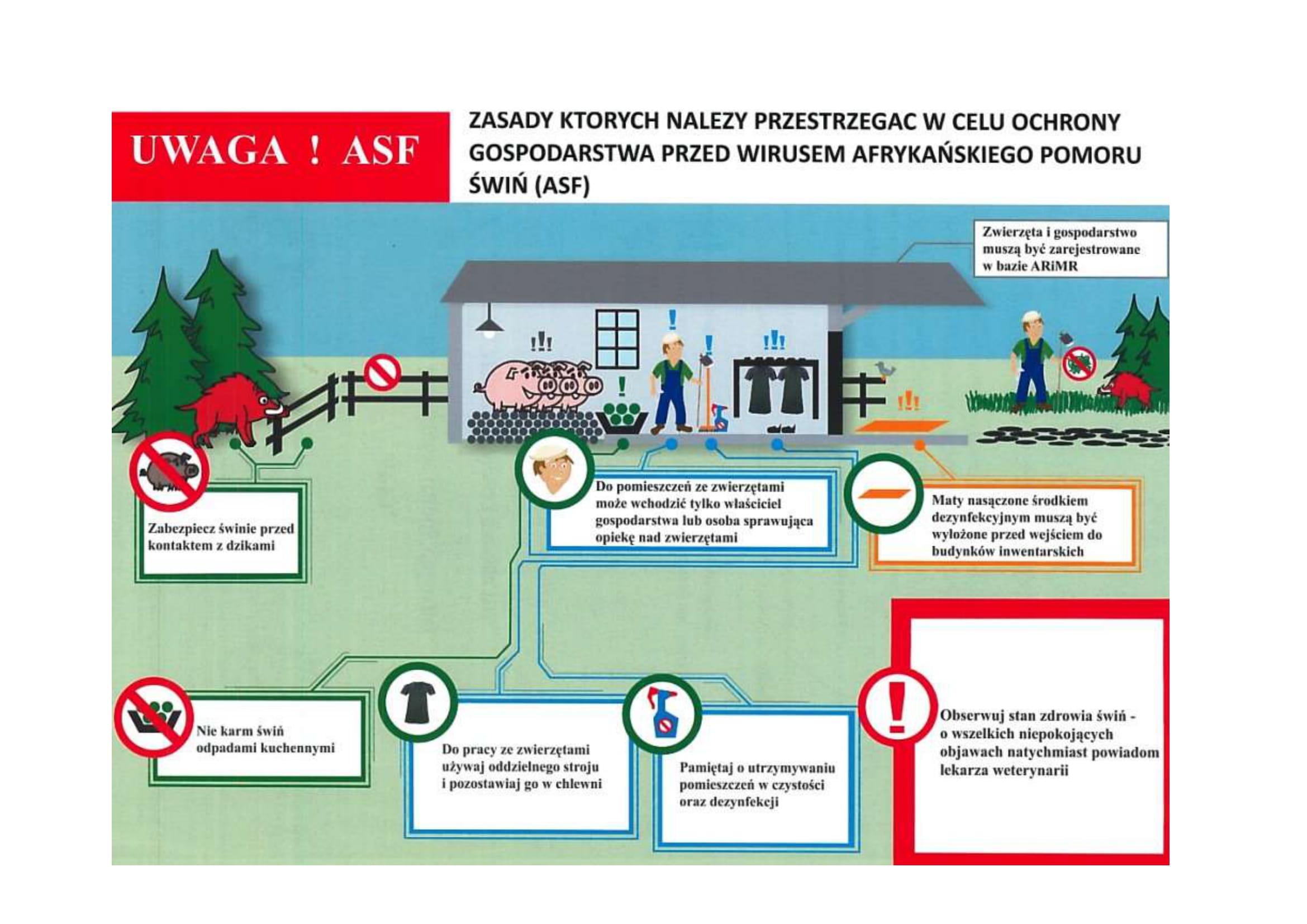 ASF_-_zasady_ochrony-1.jpg