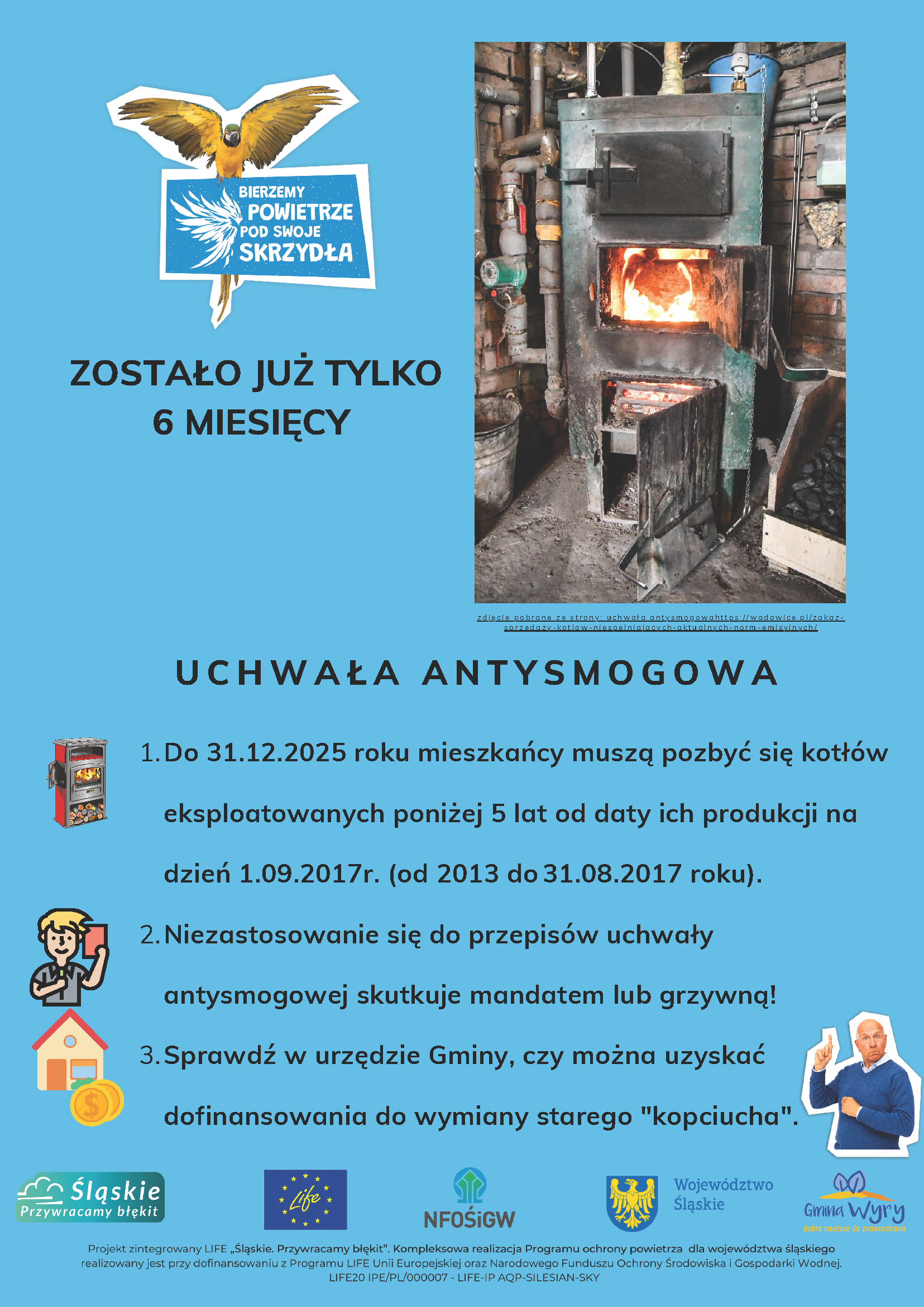 6 miesięcy.png