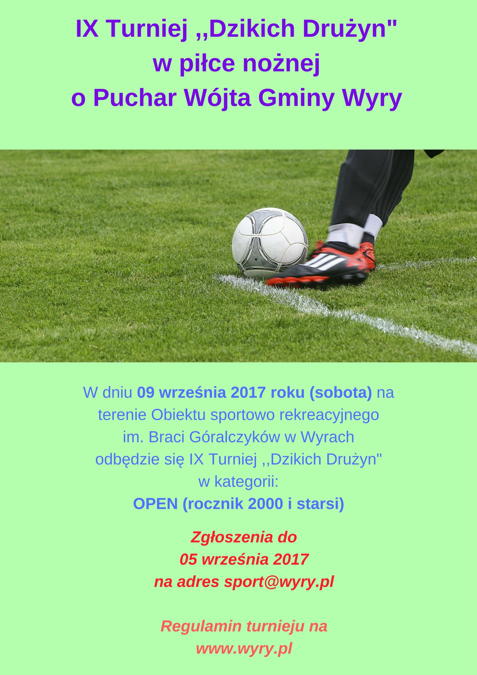 Turniej Dzikich Drużyn w piłce nożnej o Puchar Wójta Gminy Wyry2.jpg