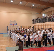 VI Otwarty Puchar Polski Juniorów Polskiej Federacji Budo w Ju-Jitsu i Karate 10.12.2016r (2).JPG
