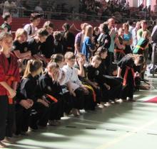 Puchar Europy Juniorów oraz Puchar Europy Seniorów Federacji IBF w Formach Sztuk Walki – 28 kwietnia 2012 r. w Bieruniu Nowym