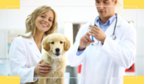 Harmonogram szczepienia psów przeciwko wściekliźnie