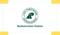 Nadleśnictwo Kobiór zaprasza do udziału w konkursie