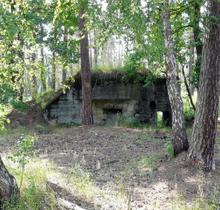 bunkier w Wyrskim lesie