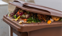 Przypominamy o podziale bioodpadów na kuchenne i zielone oraz zniżce dla samodzielnie kompostujących